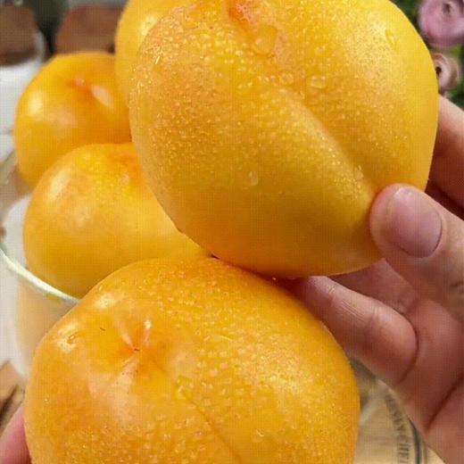 【顺丰发货】现摘现发 | 芒果黄桃/山西黄金油桃 家庭装/礼盒装  4.5斤/8.5斤 商品图1