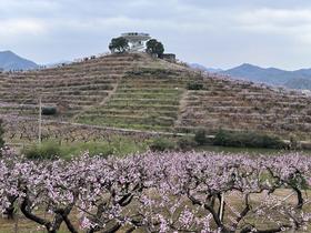 桃花季-路线推荐