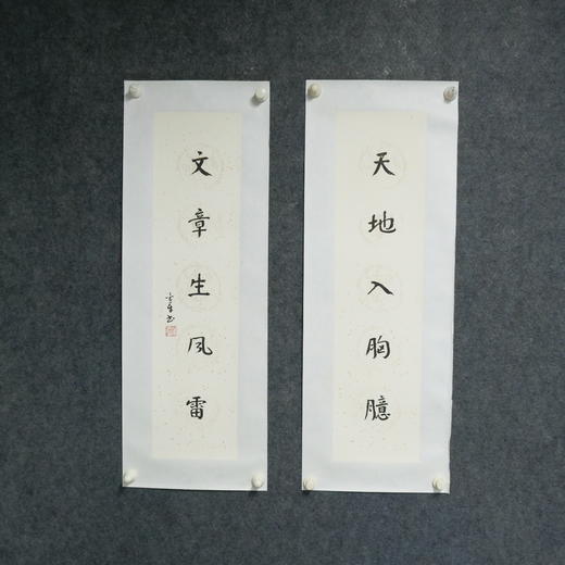 陈金章《天地入胸臆 文章生风雷》书法原作67CM*17CM手写宣纸对联 商品图2