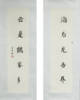 陈金章《海为龙世界 云是鹤家乡》书法原作67CM*17CM手写宣纸对联 商品缩略图5