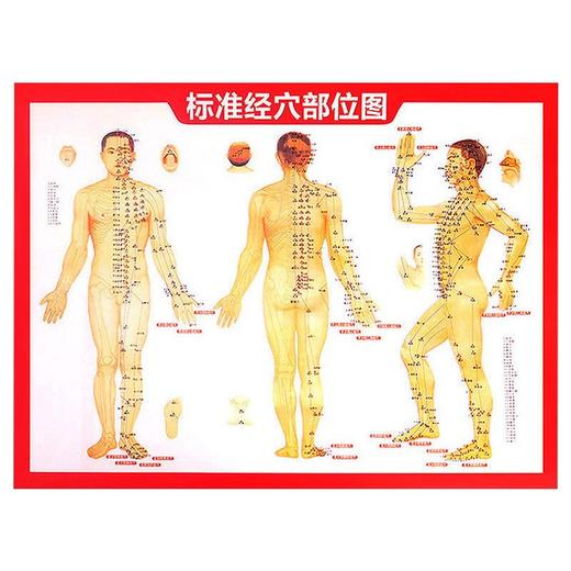 【艾草三伏贴】家用温灸贴 夏季三伏天穴位贴艾灸贴 成人儿童膏药贴  商品图10