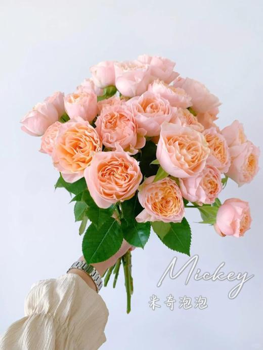 米奇泡泡国产多头玫瑰10支 商品图1