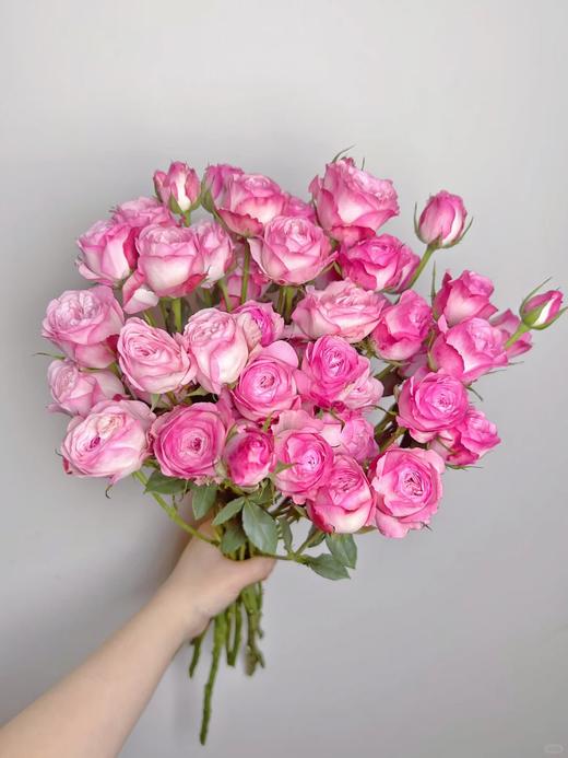 草莓蛋糕国产多头玫瑰10支 商品图0