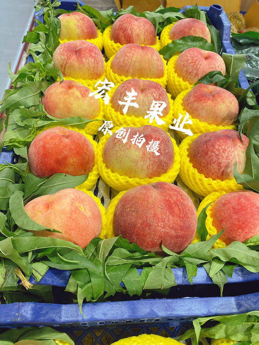 宏丰精选 水蜜桃，口感甜，活动价‼️‼️10元3斤 商品图5