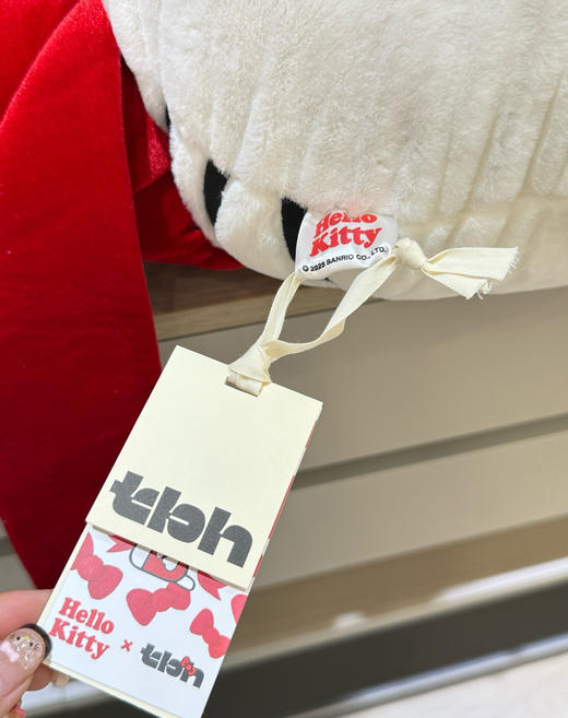 野兽家&hello kitty联名抱枕盖毯071903 商品图9