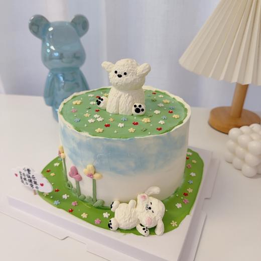 多款~躺平小动物狗熊兔羊卡通蛋糕-低糖处理无添加 商品图4