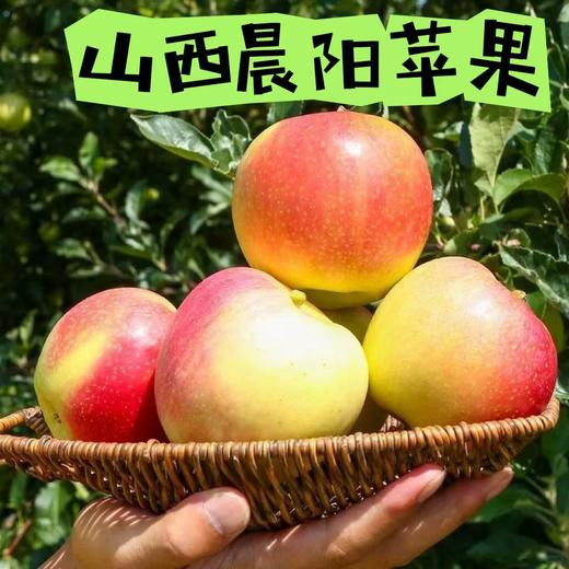 山西晨阳苹果【5斤39元】丨咬一口脆爽 风味独特 商品图4