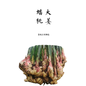 冬吃萝卜夏吃姜，不劳医生开药方