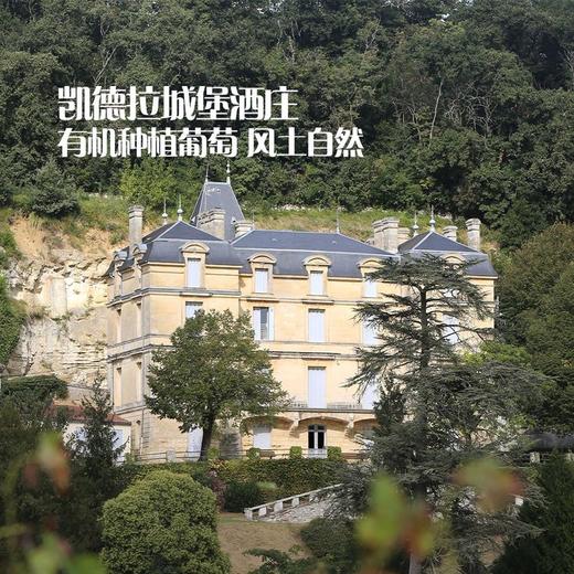 MM 山姆 Member's Mark 法国进口 有机臻酿波尔多干红葡萄酒 750ml 商品图3