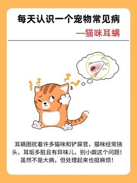 每天认识一个宠物常见病——猫咪耳螨