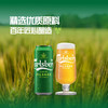 MM 山姆 嘉士伯 英国进口 丹麦式皮尔森啤酒 500ml*24 商品缩略图2