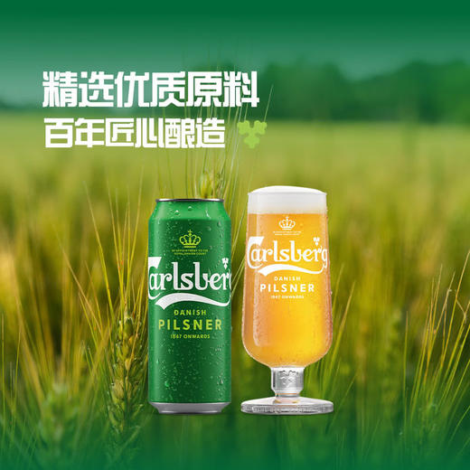 MM 山姆 嘉士伯 英国进口 丹麦式皮尔森啤酒 500ml*24 商品图2