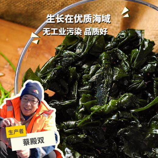 生态盐渍海带 | 合作生产 * Eco-kelp | Coproduction 商品图0