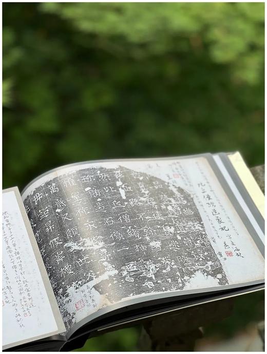 重磅推荐！！《北周石刻造像拓真》，16开，软精装一函一册，王克勤著，上海文化出版社2025年一版一印，364页，定价680元。售价见后。 商品图12