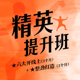 精英提升班：六大开线上（3个月）+整劲打造（3个月）