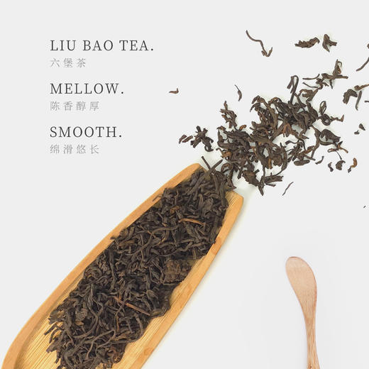 【观山社】六堡茶125g 商品图1