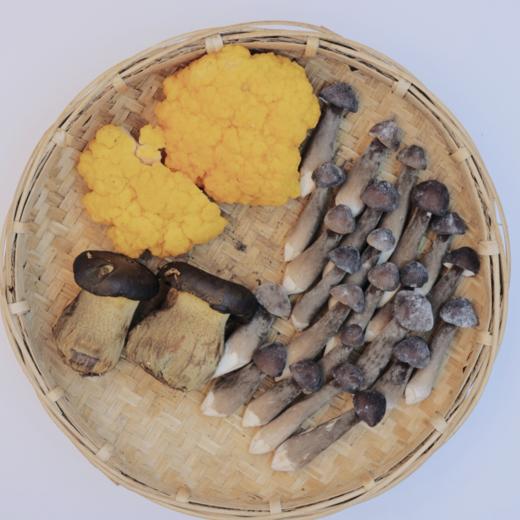 【云南野生菌组合】顺丰空运到家 黑皮鸡枞+金耳+黑牛肝/鸡油菌+竹荪+黑皮鸡枞+金耳/松茸+鸡枞+青头菌+鸡油菌 菌香浓郁 新鲜味美 菌菇组合/蔬菌组合 3种规格任选 商品图6