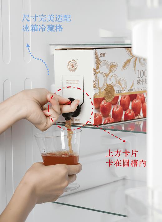白露木實【礼遇分享装】欧李复合果汁1.5L 水果钙家庭桶NFC 商品图4