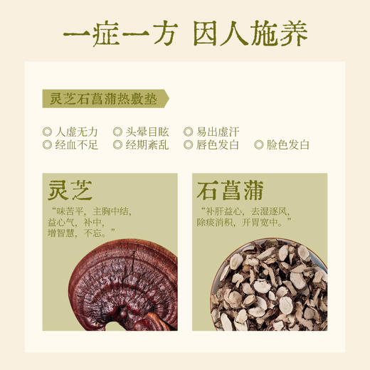 【真不二】新品灵芝石菖蒲热敷垫艾灸坐垫加热 商品图1