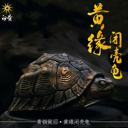 白昼 - 黄缘龟 铜龟 青铜实心 瑰宝龟宝系列摆件茶宠 黄缘闭壳龟半水龟 爬宠模型周边 ★官方正版【48小时发货】 商品图5