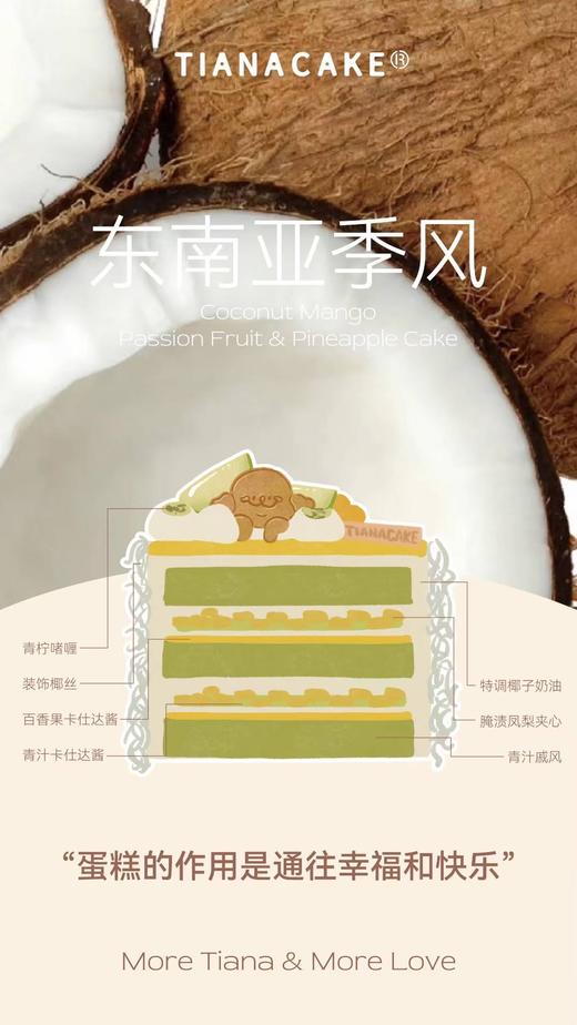 四寸东南亚季风 商品图1