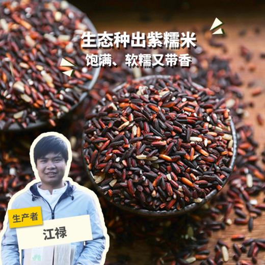 生态紫糯米 | 合作生产 * Ecological Purple glutinous rice  | Coproduction 商品图0