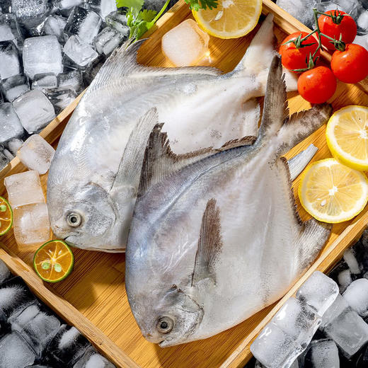 MM 山姆 大白鲳 1kg 商品图1