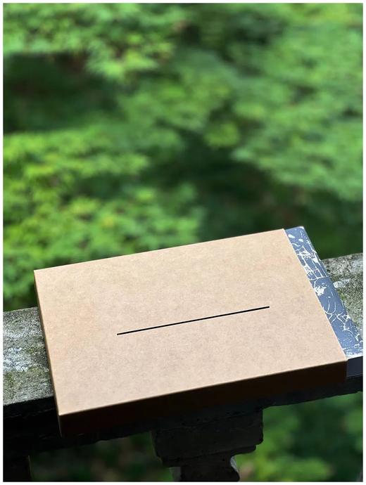 重磅推荐！！《北周石刻造像拓真》，16开，软精装一函一册，王克勤著，上海文化出版社2025年一版一印，364页，定价680元。售价见后。 商品图1