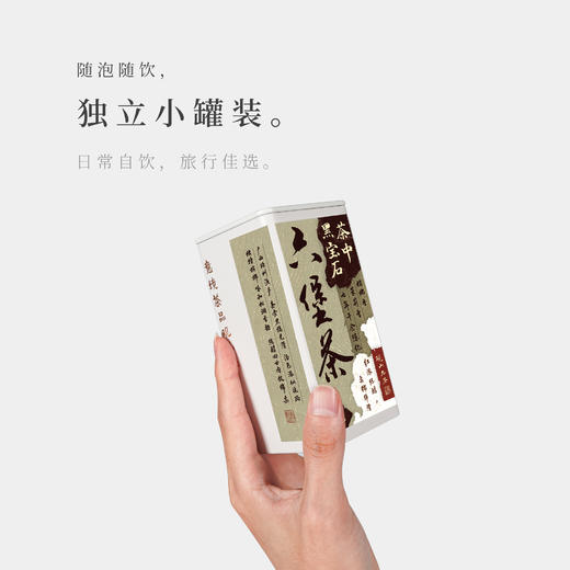 【观山社】六堡茶125g 商品图3