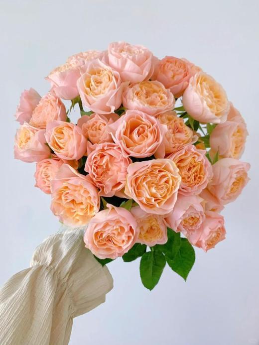 米奇泡泡国产多头玫瑰10支 商品图0