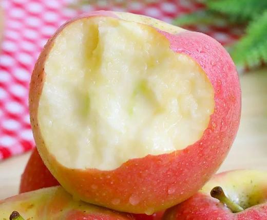 山西晨阳苹果【5斤39元】丨咬一口脆爽 风味独特 商品图2