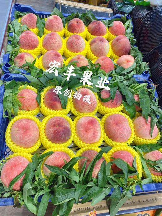 宏丰精选 水蜜桃，口感甜，活动价‼️‼️10元3斤 商品图4