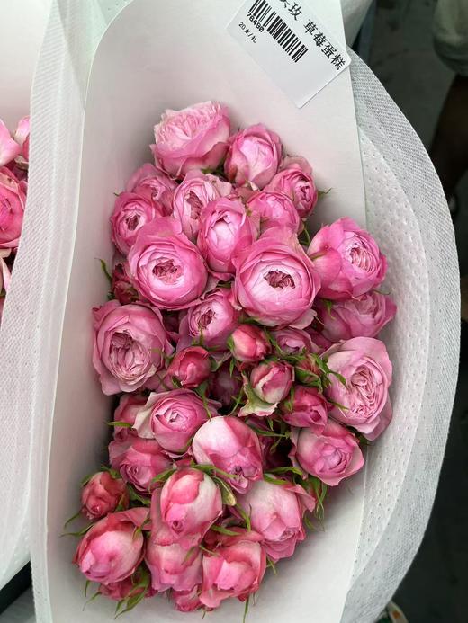 草莓蛋糕国产多头玫瑰10支 商品图4