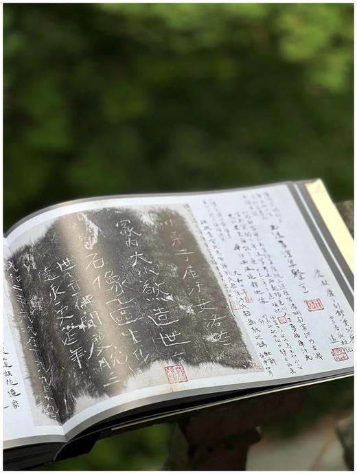 重磅推荐！！《北周石刻造像拓真》，16开，软精装一函一册，王克勤著，上海文化出版社2025年一版一印，364页，定价680元。售价见后。 商品图13