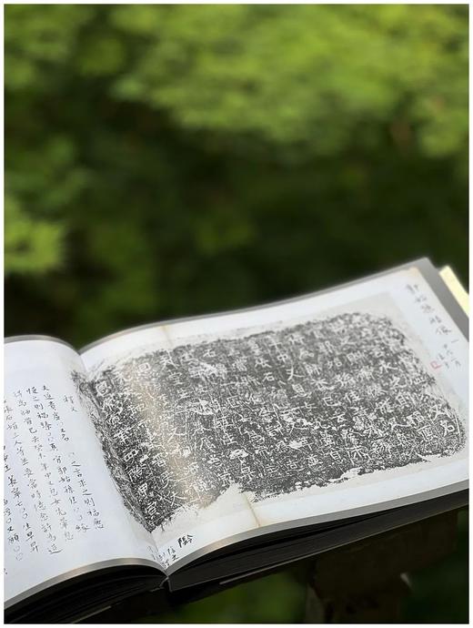 重磅推荐！！《北周石刻造像拓真》，16开，软精装一函一册，王克勤著，上海文化出版社2025年一版一印，364页，定价680元。售价见后。 商品图8