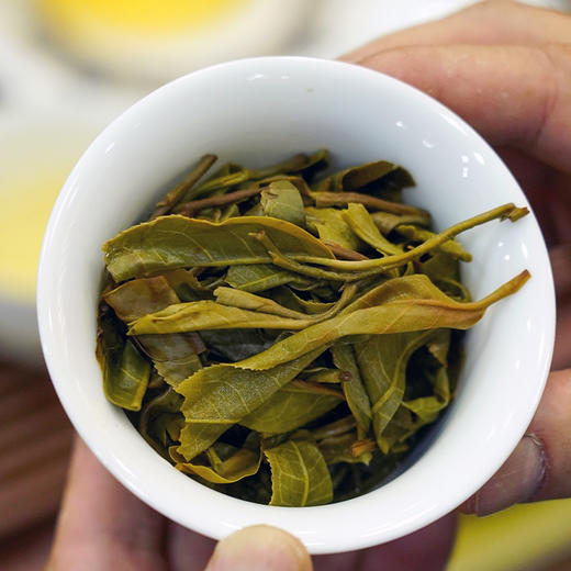 【四十年茶路】张大师40年制茶技艺精髓之作；汇聚58座名山头精华荟萃；2023年头春普洱茶357g饼茶【塔尖高奢茶】 商品图3