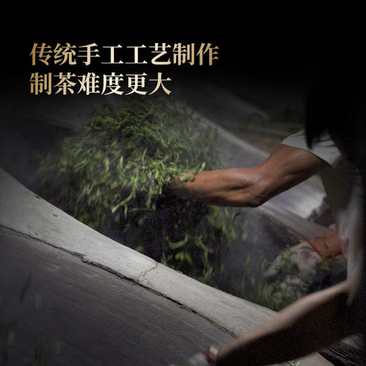 【王侯将相—忠武侯：诸葛亮】约8900一芽一叶成就一片茶饼 比茶王地单株更奢侈豪华！2025年头春茶，普洱茶区，357克/饼茶，一箱内含6饼茶 拍5箱发6箱 商品图2