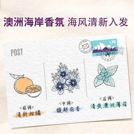 MM 山姆 澳丝 蓬松丰盈洗护套装 洗发露 530ml*2+50ml*4+护发素50ml*4 商品图3