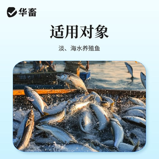 华畜10%盐酸多西环素粉水产用对虾河蟹出血腹水烂鳃败血腐皮肠炎 商品图4