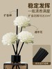 赠品 干花*6+藤条*10 或磨砂蜡烛 商品缩略图1