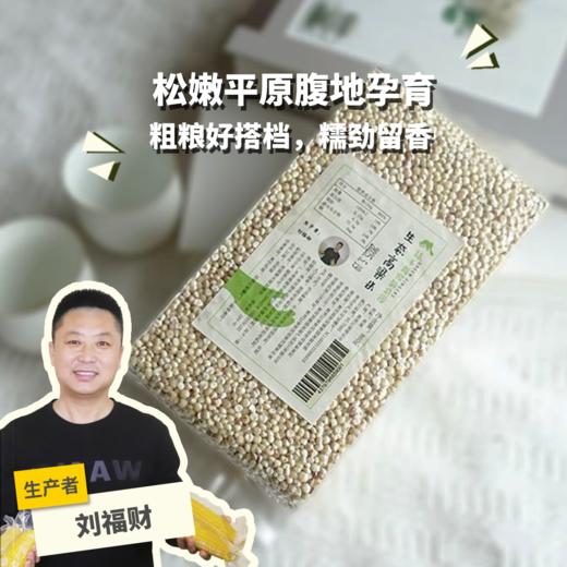 生态高粱米 | 合作生产*Ecological sorghum rice| Partner Production 商品图0