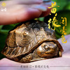 白昼 - 黄缘龟 铜龟 青铜实心 瑰宝龟宝系列摆件茶宠 黄缘闭壳龟半水龟 爬宠模型周边 ★官方正版【48小时发货】 商品缩略图1