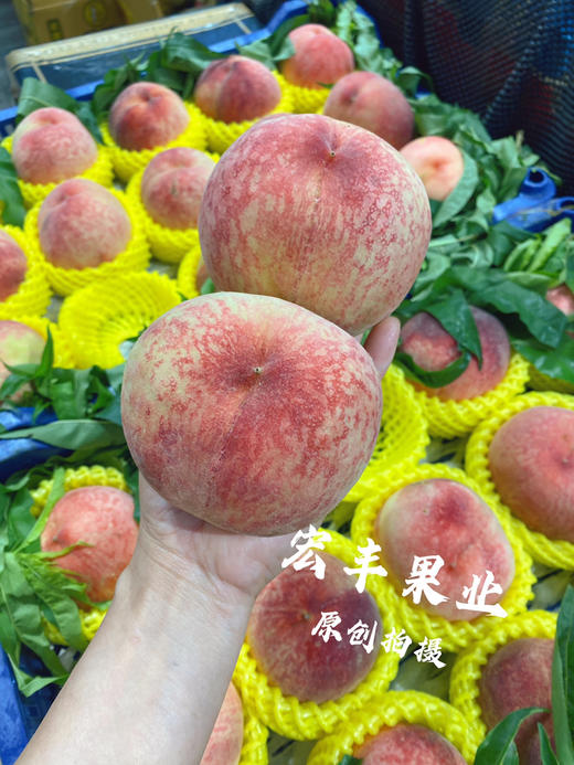 宏丰精选 水蜜桃，口感甜，活动价‼️‼️10元3斤 商品图2