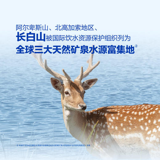 MM 山姆 长白山天然矿泉水 500ml*24 商品图2