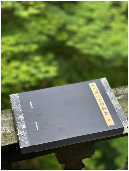 重磅推荐！！《北周石刻造像拓真》，16开，软精装一函一册，王克勤著，上海文化出版社2025年一版一印，364页，定价680元。售价见后。 商品图2