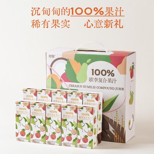 白露木實 欧李（钙果）复合果汁  清润K炎 儿童餐搭水果钙NFC 乳糖无虑 商品图4