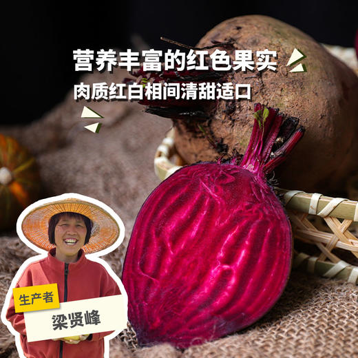 生态甜菜根（河南） | 合作生产*Eco-beetroots | Coproduction 商品图0