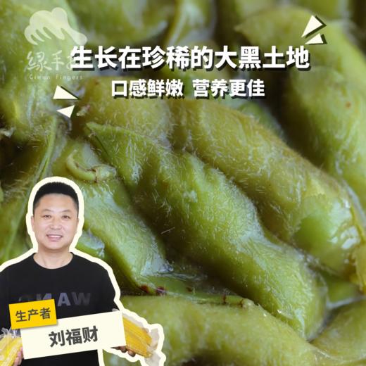 生态毛豆（速冻） | 合作生产*Organic beans-butter | Coproduction 商品图0