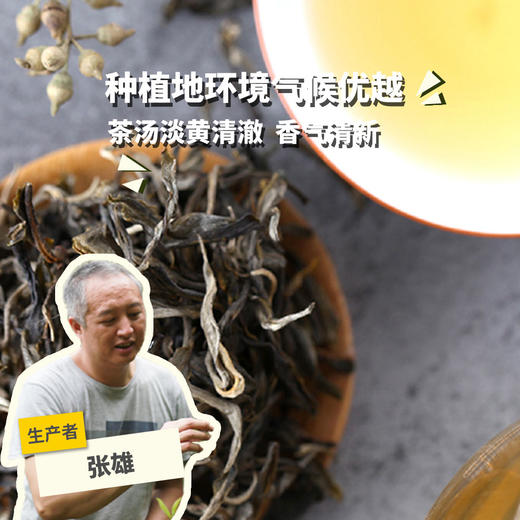 生态茶·头春生普 | 公平贸易*Eco-Raw pu'er tea  | Fair trade 商品图0