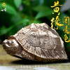 白昼 - 黄缘龟 铜龟 青铜实心 瑰宝龟宝系列摆件茶宠 黄缘闭壳龟半水龟 爬宠模型周边 ★官方正版【48小时发货】 商品缩略图3